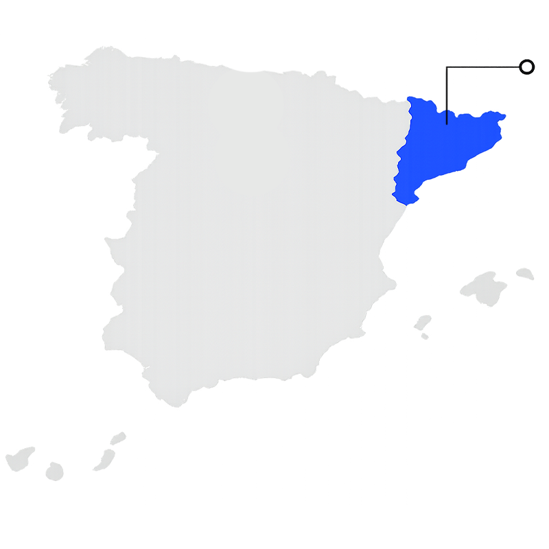 Domain Image